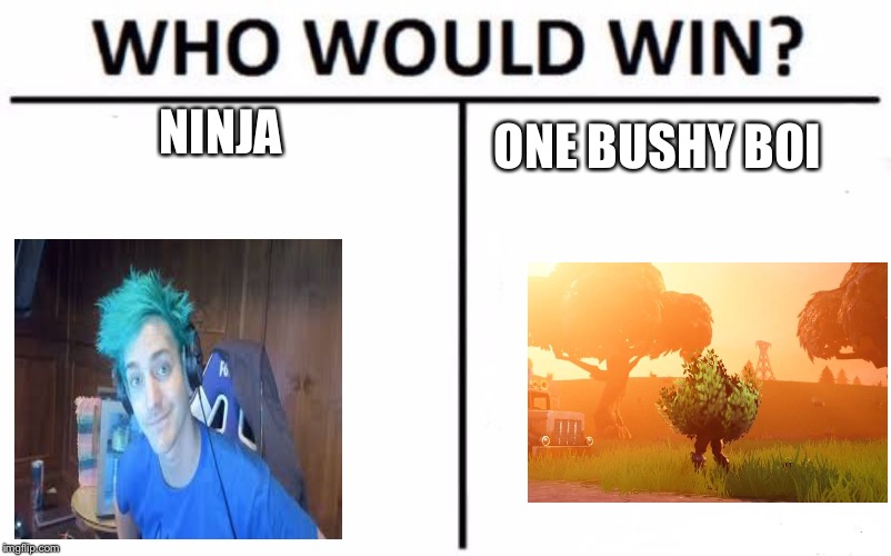 Who Would Win? Meme | NINJA; ONE BUSHY BOI | image tagged in memes,who would win | made w/ Imgflip meme maker