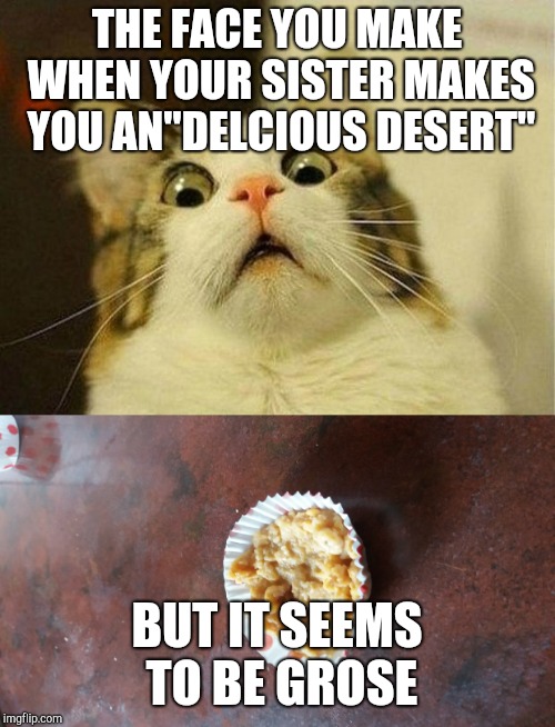  THE FACE YOU MAKE WHEN YOUR SISTER MAKES YOU AN"DELCIOUS DESERT"; BUT IT SEEMS TO BE GROSE | image tagged in memes,scared cat,grose,desert | made w/ Imgflip meme maker