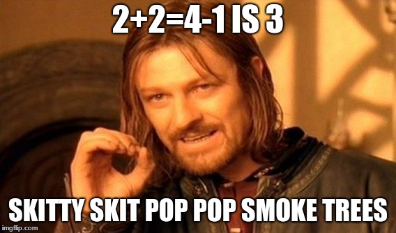 One Does Not Simply Meme | 2+2=4-1 IS 3; SKITTY SKIT POP POP SMOKE TREES | image tagged in memes,one does not simply | made w/ Imgflip meme maker