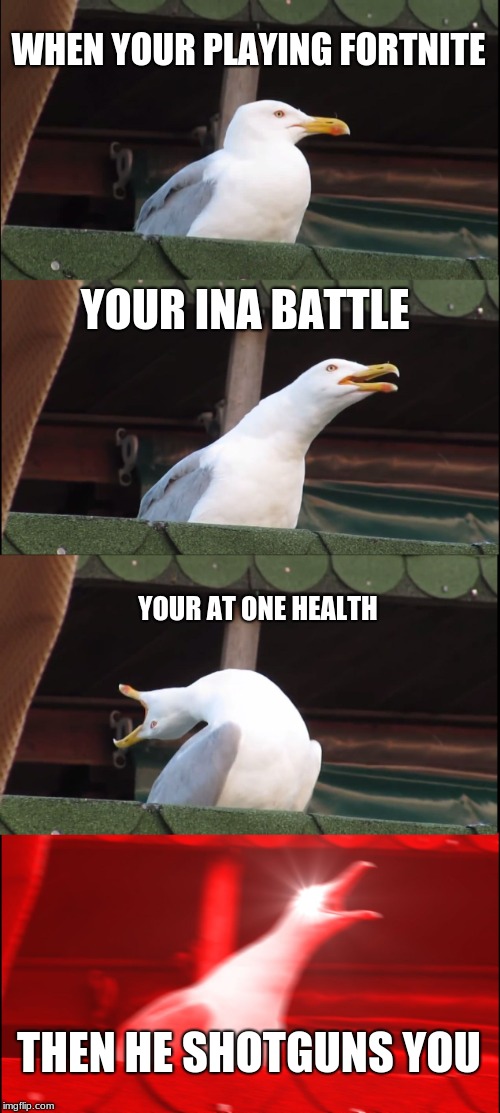 Inhaling Seagull Meme | WHEN YOUR PLAYING FORTNITE; YOUR INA BATTLE; YOUR AT ONE HEALTH; THEN HE SHOTGUNS YOU | image tagged in memes,inhaling seagull | made w/ Imgflip meme maker