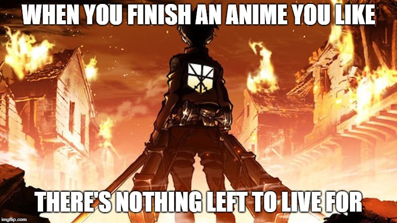 when you finnish an anime | WHEN YOU FINISH AN ANIME YOU LIKE; THERE'S NOTHING LEFT TO LIVE FOR | image tagged in anime | made w/ Imgflip meme maker