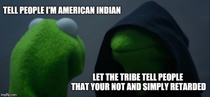 Evil Kermit Meme | TELL PEOPLE I'M AMERICAN INDIAN; LET THE TRIBE TELL PEOPLE THAT YOUR NOT AND SIMPLY RETARDED | image tagged in memes,evil kermit | made w/ Imgflip meme maker