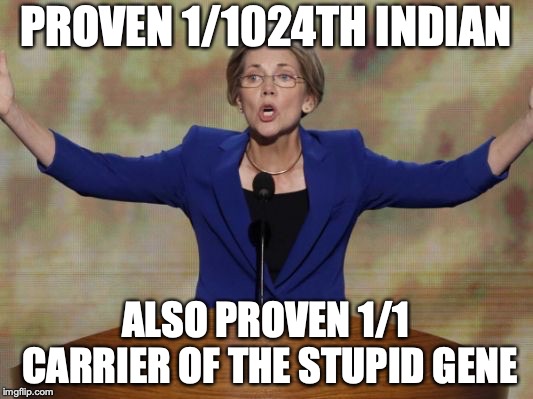 Only a Democrat would prove they had *less* native blood than the general population. | PROVEN 1/1024TH INDIAN; ALSO PROVEN 1/1 CARRIER OF THE STUPID GENE | image tagged in elizabeth warren,2018,fauxcahontas,liar | made w/ Imgflip meme maker