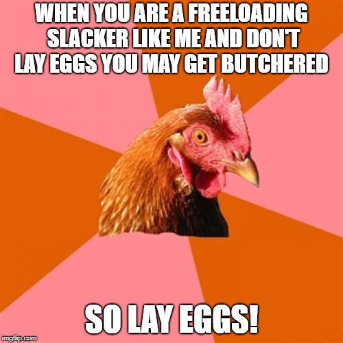 Anti Joke Chicken | WHEN YOU ARE A FREELOADING SLACKER LIKE ME AND DON'T LAY EGGS YOU MAY GET BUTCHERED; SO LAY EGGS! | image tagged in memes,anti joke chicken | made w/ Imgflip meme maker