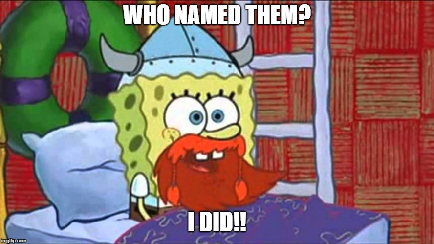 leif eriksen | WHO NAMED THEM? I DID!! | image tagged in leif eriksen | made w/ Imgflip meme maker