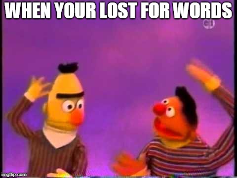 WHEN YOUR LOST FOR WORDS | image tagged in bert and ernie,lost | made w/ Imgflip meme maker