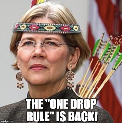 THE "ONE DROP RULE" IS BACK! | image tagged in elizabeth warren pocahontas dna test | made w/ Imgflip meme maker
