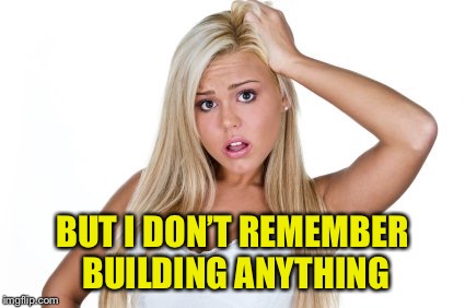 Dumb Blonde | BUT I DON’T REMEMBER BUILDING ANYTHING | image tagged in dumb blonde | made w/ Imgflip meme maker