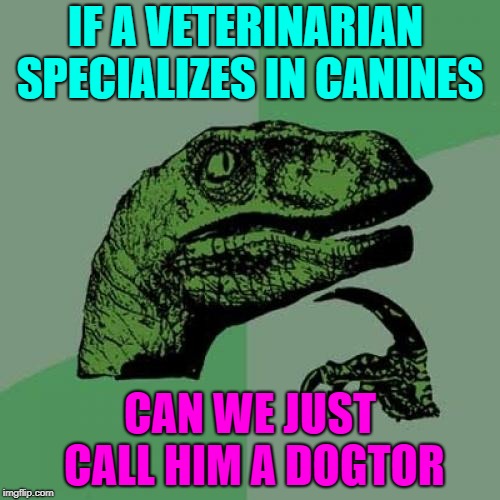 philosoraptor | IF A VETERINARIAN  SPECIALIZES IN CANINES; CAN WE JUST CALL HIM A DOGTOR | image tagged in memes,philosoraptor,dogs | made w/ Imgflip meme maker