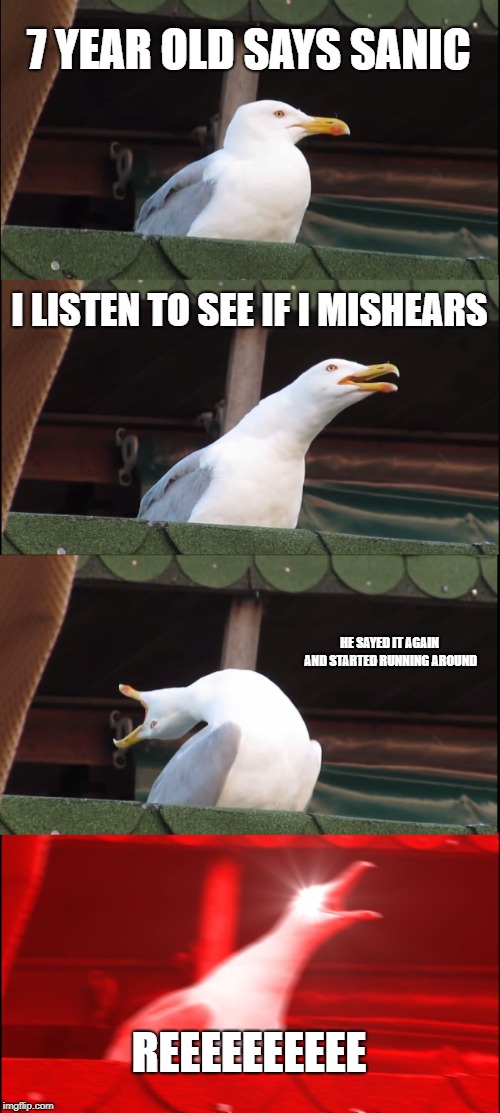 Inhaling Seagull | 7 YEAR OLD SAYS SANIC; I LISTEN TO SEE IF I MISHEARS; HE SAYED IT AGAIN AND STARTED RUNNING AROUND; REEEEEEEEEE | image tagged in memes,inhaling seagull | made w/ Imgflip meme maker