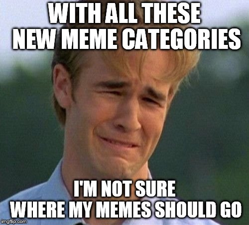 1990s First World Problems Meme | WITH ALL THESE NEW MEME CATEGORIES; I'M NOT SURE WHERE MY MEMES SHOULD GO | image tagged in memes,1990s first world problems | made w/ Imgflip meme maker