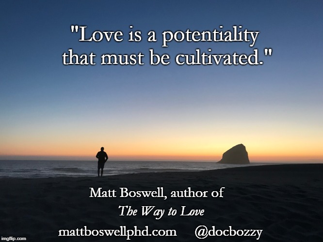 Love is... | "Love is a potentiality that must be cultivated."; Matt Boswell, author of; The Way to Love; mattboswellphd.com     @docbozzy | image tagged in authors | made w/ Imgflip meme maker