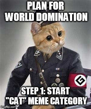 Grammar Nazi Cat | PLAN FOR WORLD DOMINATION; STEP 1: START "CAT" MEME CATEGORY | image tagged in grammar nazi cat | made w/ Imgflip meme maker