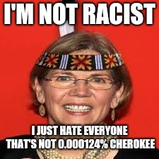 Elizabeth Warren | I'M NOT RACIST I JUST HATE EVERYONE THAT'S NOT 0.000124% CHEROKEE | image tagged in elizabeth warren | made w/ Imgflip meme maker