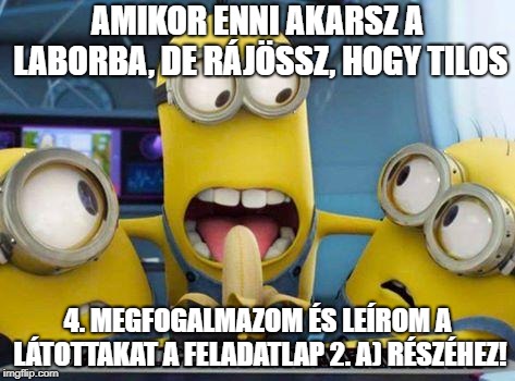 minions banana | AMIKOR ENNI AKARSZ A LABORBA, DE RÁJÖSSZ, HOGY TILOS; 4. MEGFOGALMAZOM ÉS LEÍROM A LÁTOTTAKAT A FELADATLAP 2. A) RÉSZÉHEZ! | image tagged in minions banana | made w/ Imgflip meme maker