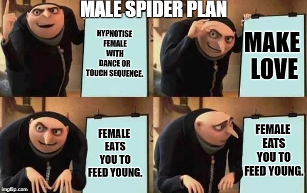 Male Spider Plan | MALE SPIDER PLAN; HYPNOTISE FEMALE WITH DANCE OR TOUCH SEQUENCE. MAKE LOVE; FEMALE EATS YOU TO FEED YOUNG. FEMALE EATS YOU TO FEED YOUNG. | image tagged in gru's plan | made w/ Imgflip meme maker