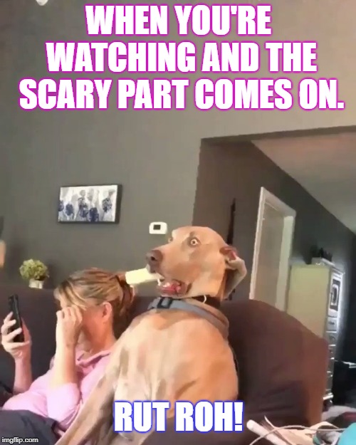  WHEN YOU'RE WATCHING AND THE SCARY PART COMES ON. RUT ROH! | image tagged in horror movie | made w/ Imgflip meme maker