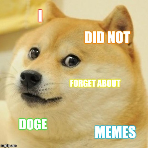 Doge Meme | I DID NOT FORGET ABOUT DOGE MEMES | image tagged in memes,doge | made w/ Imgflip meme maker