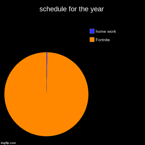 schedule for the year | Fortnite, home work | image tagged in funny,pie charts | made w/ Imgflip chart maker