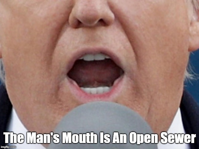 "The Man's Mouth Is An Open Sewer" | The Man's Mouth Is An Open Sewer | image tagged in lord of the lies,deplorable donald,despicable donald,trump,deceitful donald,dishonest donald | made w/ Imgflip meme maker