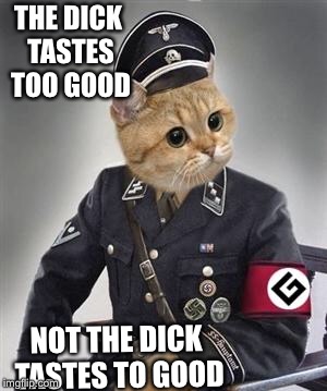 Grammar Nazi Cat | THE DICK TASTES TOO GOOD NOT THE DICK TASTES TO GOOD | image tagged in grammar nazi cat | made w/ Imgflip meme maker
