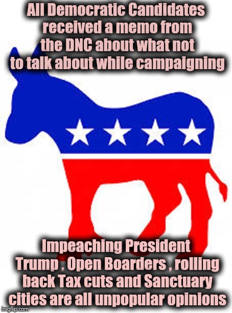 Deception is their best Campaign strategy ? | All Democratic Candidates received a memo from the DNC about what not to talk about while campaigning; Impeaching President Trump , Open Boarders , rolling back Tax cuts and Sanctuary cities are all unpopular opinions | image tagged in democrat donkey,politicians suck,maury lie detector,shut up and take my money,never give up | made w/ Imgflip meme maker
