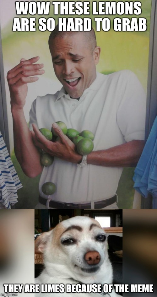 When people use the wrong meme it makes me feel like this | WOW THESE LEMONS ARE SO HARD TO GRAB; THEY ARE LIMES BECAUSE OF THE MEME | image tagged in memes,why can't i hold all these limes,grammar nazi | made w/ Imgflip meme maker