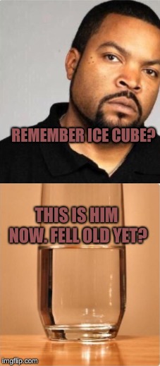  HAHAHAHAHAHHAHAHHAHAHAHHAHAHHAAAHAHAHHAHAHAHAHHAHAHAHAHHAAHHAHAHHAHAHAHAHAHAHAHAHAHHAHAHAHAHAHHAHAHAHAHAHAHAHAHAHAHAHAHAHAHAHAH | REMEMBER ICE CUBE? THIS IS HIM NOW. FELL OLD YET? | image tagged in memes,funny,ice cube,water,hahahaha | made w/ Imgflip meme maker