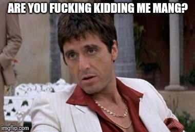 Tony Montana | ARE YOU FUCKING KIDDING ME MANG? | image tagged in tony montana | made w/ Imgflip meme maker