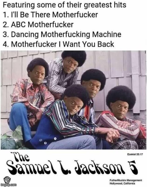 The Samuel L. Jackson 5 | image tagged in samuel l jackson,no captions motherfucker,it's a repost motherfucker,copy and paste motherfucker | made w/ Imgflip meme maker