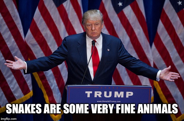 Donald Trump | SNAKES ARE SOME VERY FINE ANIMALS | image tagged in donald trump | made w/ Imgflip meme maker
