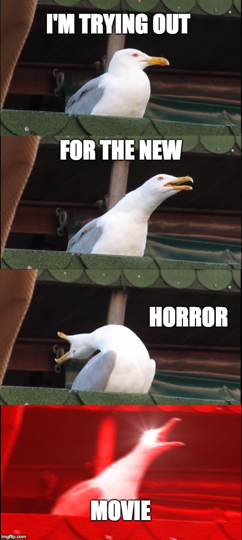 Inhaling Seagull | I'M TRYING OUT; FOR THE NEW; HORROR; MOVIE | image tagged in memes,inhaling seagull | made w/ Imgflip meme maker