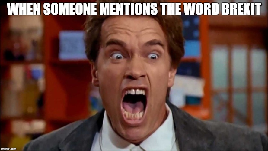 Arnold screaming | WHEN SOMEONE MENTIONS THE WORD BREXIT | image tagged in arnold screaming | made w/ Imgflip meme maker