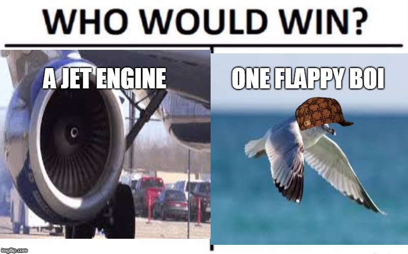 jets aren't as powerful as you think... | A JET ENGINE; ONE FLAPPY BOI | image tagged in aviation | made w/ Imgflip meme maker