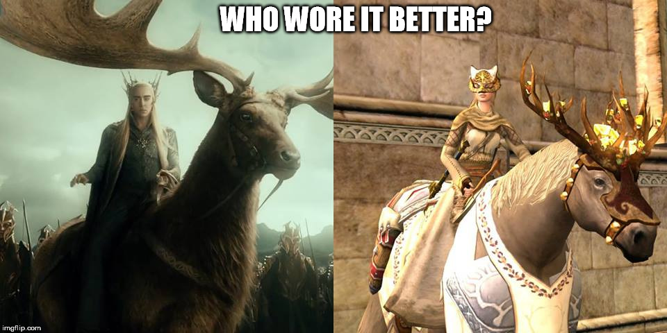 LOTRO | WHO WORE IT BETTER? | image tagged in gaming,pc gaming,online gaming,lotro | made w/ Imgflip meme maker