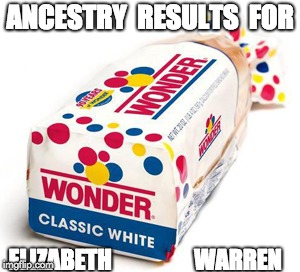 Elizabeth Warren DNA genetic ancestry results | ANCESTRY  RESULTS  FOR; ELIZABETH                  WARREN | image tagged in white bred,white privilege,white trash,dna,genetics | made w/ Imgflip meme maker