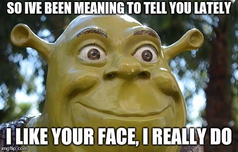 dank shrek | SO IVE BEEN MEANING TO TELL YOU LATELY; I LIKE YOUR FACE, I REALLY DO | image tagged in shrek,memes,dank memes,face | made w/ Imgflip meme maker