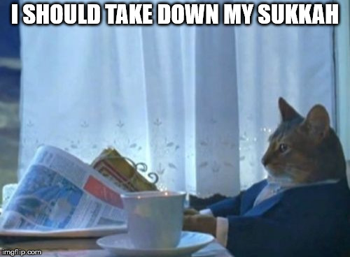 I Should Buy A Boat Cat Meme | I SHOULD TAKE DOWN MY SUKKAH | image tagged in memes,i should buy a boat cat,Judaism | made w/ Imgflip meme maker