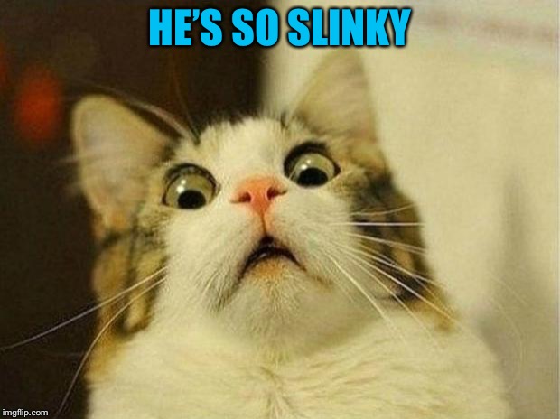 Scared Cat Meme | HE’S SO SLINKY | image tagged in memes,scared cat | made w/ Imgflip meme maker