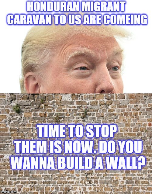 Trump Wall | HONDURAN MIGRANT CARAVAN TO US ARE COMEING; TIME TO STOP THEM IS NOW. DO YOU WANNA BUILD A WALL? | image tagged in trump wall | made w/ Imgflip meme maker