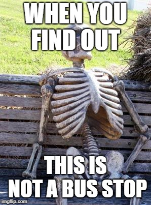 Waiting Skeleton Meme | WHEN YOU FIND OUT; THIS IS NOT A BUS STOP | image tagged in memes,waiting skeleton | made w/ Imgflip meme maker