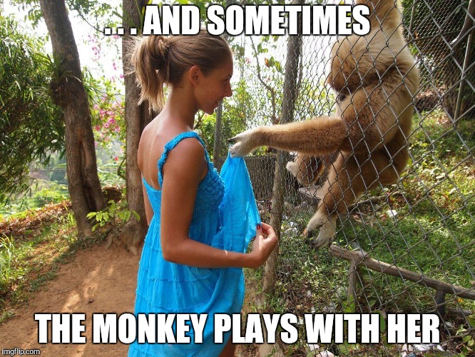 . . . AND SOMETIMES THE MONKEY PLAYS WITH HER | made w/ Imgflip meme maker