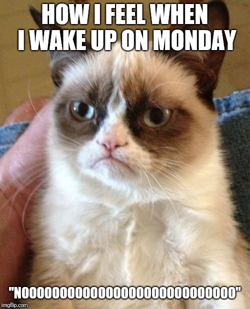 Grumpy Cat | HOW I FEEL WHEN I WAKE UP ON MONDAY; "NOOOOOOOOOOOOOOOOOOOOOOOOOOOO" | image tagged in memes,grumpy cat | made w/ Imgflip meme maker