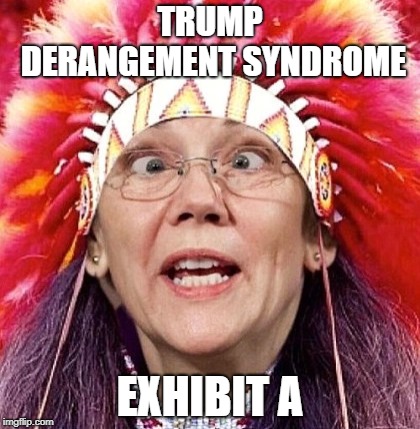 TDS Exhibit A | TRUMP DERANGEMENT SYNDROME; EXHIBIT A | image tagged in elizabeth warren,trump derangement syndrome,native americans | made w/ Imgflip meme maker
