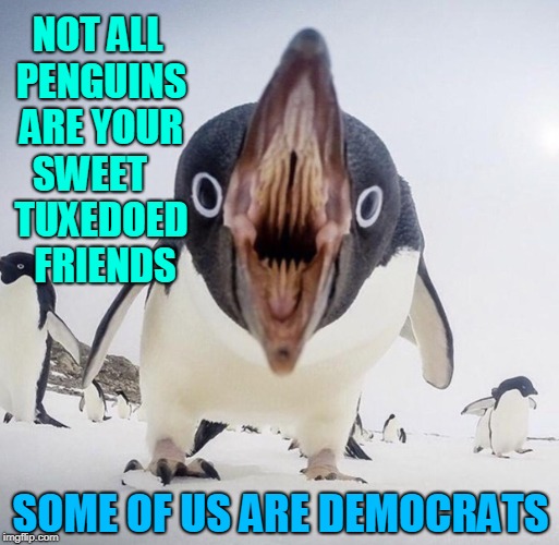 I'm Democrat and I'm Not Going to Take it Anymore | NOT ALL PENGUINS ARE YOUR SWEET    TUXEDOED 
  FRIENDS; SOME OF US ARE DEMOCRATS | image tagged in vince vance,angry penguin,angry liberal,angry birds,democrat,sjw leftist progressive | made w/ Imgflip meme maker