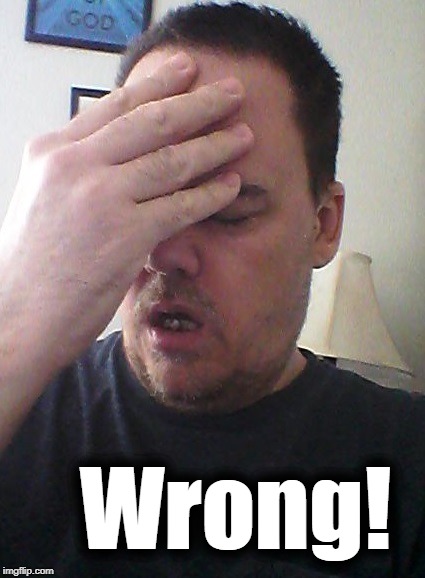 face palm | Wrong! | image tagged in face palm | made w/ Imgflip meme maker