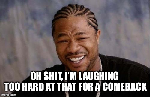 Yo Dawg Heard You Meme | OH SHIT, I’M LAUGHING TOO HARD AT THAT FOR A COMEBACK | image tagged in memes,yo dawg heard you | made w/ Imgflip meme maker