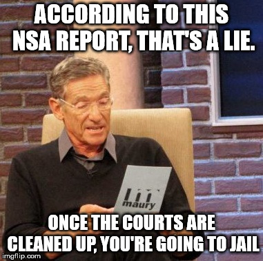 Maury Lie Detector Meme | ACCORDING TO THIS NSA REPORT, THAT'S A LIE. ONCE THE COURTS ARE CLEANED UP, YOU'RE GOING TO JAIL | image tagged in memes,maury lie detector | made w/ Imgflip meme maker