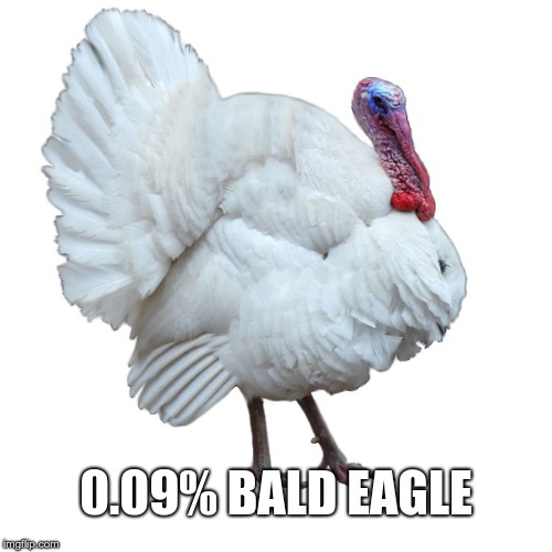 0.09% BALD EAGLE
 | 0.09% BALD EAGLE | image tagged in elizabeth warren,bald eagle,turkey | made w/ Imgflip meme maker