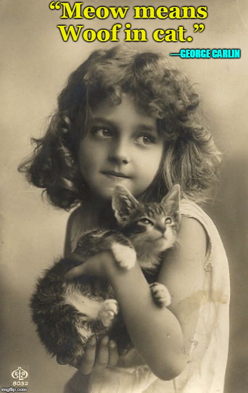 Irrelevant Cat Quotes | “Meow means Woof in cat.”; ―GEORGE CARLIN | image tagged in vince vance,george carlin,cats,vintage photograph,little girl holding cat,translating the language of animals | made w/ Imgflip meme maker